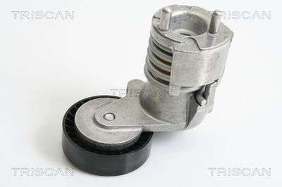 TRISCAN 8641 103024 Натяжитель ремня генератора для FORD KUGA