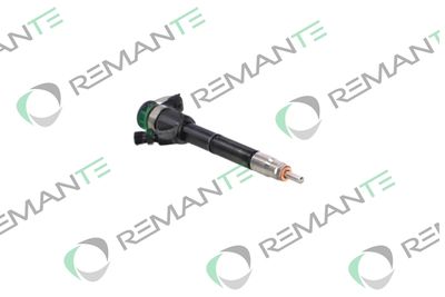 INJECTOR REMANTE 002003002220R 3