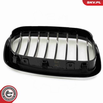 GRILA RADIATOR ESEN SKV 66SKV270 8