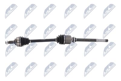 PLANETARA NTY NPWCT009 23