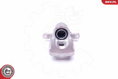 Brake Caliper 45SKV813