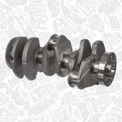 ARBORE COTIT ET ENGINETEAM HK0222 1