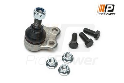 Šarnyras / girgždukas 2S0025 ProfiPower