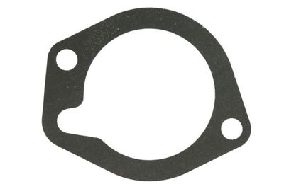 Koelvloeistof thermostaat pakking past: LANDINI 65 F, 65 FP, 65 GE, 65 GT, 65 GTP, 65 L, 65 LP, 6560 L, 6560 V, 6860, 6880, 6880 VM, 75 F, 75 FP, 75 GE, 75 GT, 75 GTP, 75 L, 75 LP, 7560 L, 7860