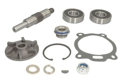 Waterpomp reparatieset