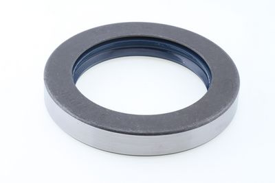 Dichtring