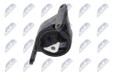 SUPORT MOTOR NTY ZPSCH010 17