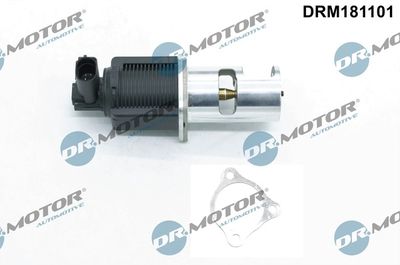 SUPAPA EGR Dr.Motor Automotive DRM181101 1