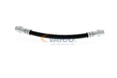 FURTUN FRANA VAICO V104136 36