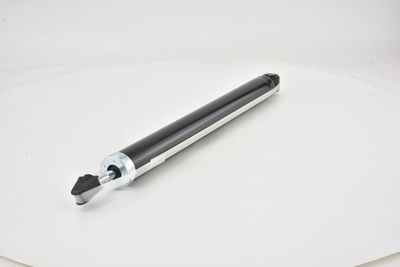 AMORTIZOR FEBEST 21650805R 19