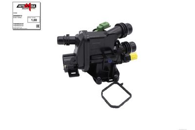 TERMOSTAT LICHID RACIRE