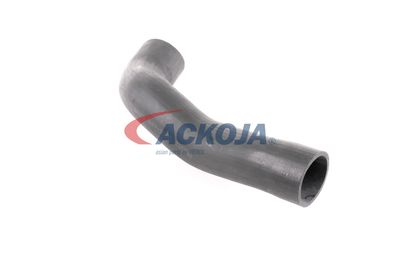 FURTUN EAR SUPRAALIMENTARE ACKOJA A379600 43