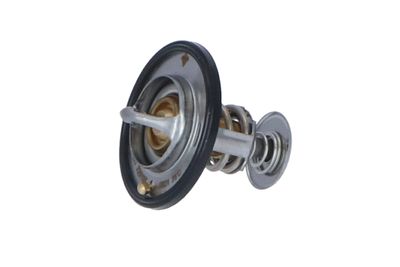 TERMOSTAT LICHID RACIRE NRF 725107 14