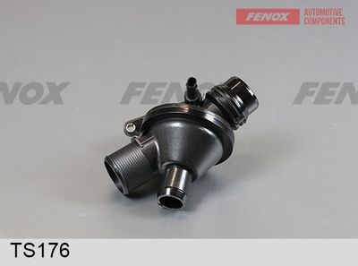термостат, охладителна течност FENOX TS176