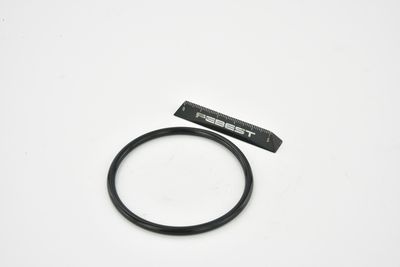 ETANșARE CARCASă CLAPETă FEBEST RINGAH034 31