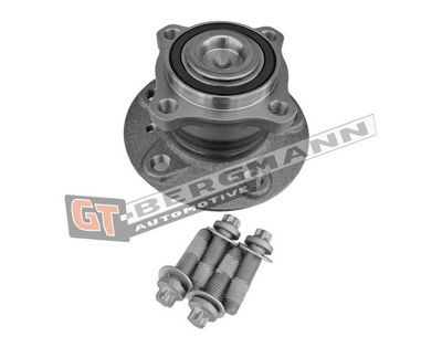 GT-BERGMANN Automotive Rato guolio komplektas