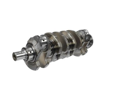 ARBORE COTIT ET ENGINETEAM HK0165 15