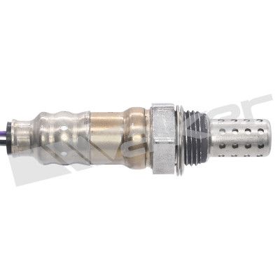 LAMBDASONDE WALKER PRODUCTS 25024935 1