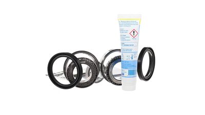 RADLAGERSATZ SKF VKBA9066CL 18