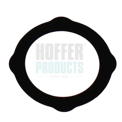 Těsnění, AGR ventil HOFFER 016233