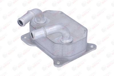 RADIATOR ULEI ULEI MOTOR BIRTH 80866 3