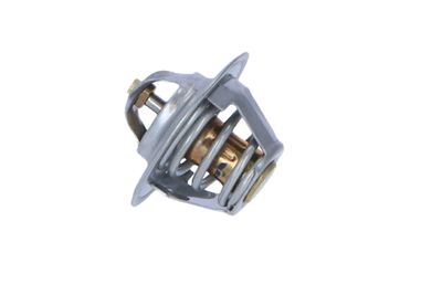 TERMOSTAT LICHID RACIRE NRF 725212 19