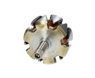 Rotor, alternador