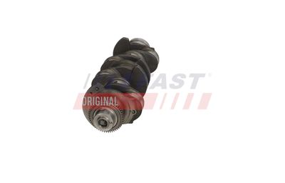 ARBORE COTIT FAST FT51759 8
