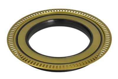 ABS ring (110/152x19,5)