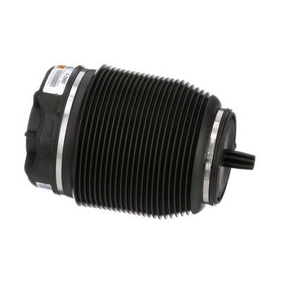 LUFTFEDER FAHRWERK Arnott A2960 41