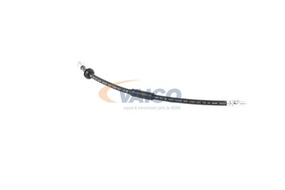 FURTUN FRANA VAICO V201908 39