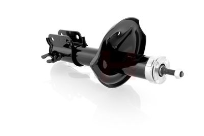 AMORTIZOR GH GH325058H 25