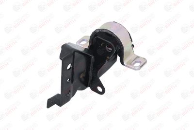 SUPORT MOTOR BIRTH 52501 11