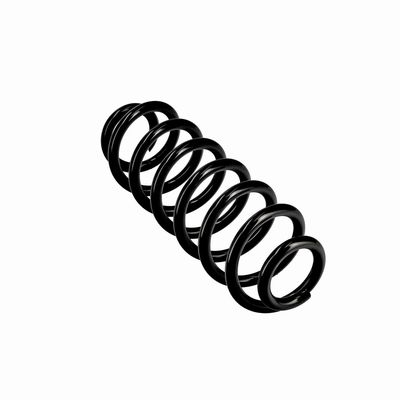ARC SPIRAL EIBACH R10862 23