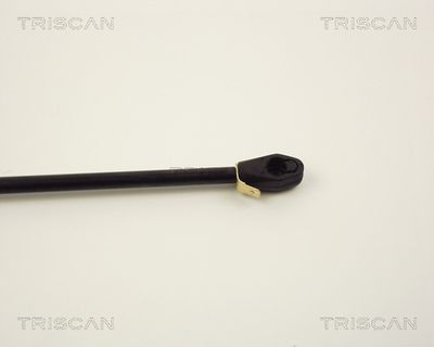 AMORTIZOR PORTBAGAJ KAWE 87102407 2