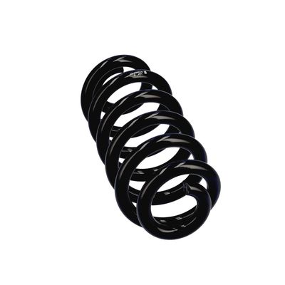 ARC SPIRAL EIBACH R22994 12