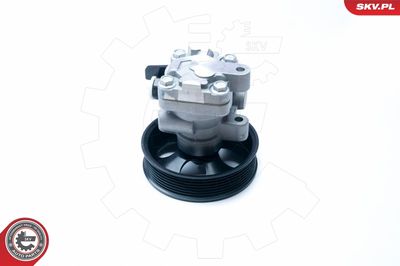 Hydraulic Pump, steering 10SKV201