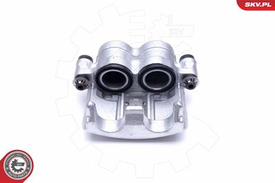 Brake Caliper 46SKV181