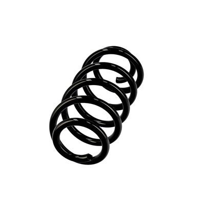 ARC SPIRAL EIBACH R10135 2