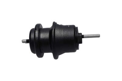 SUPORT MOTOR Kavo Parts EEM8013 22