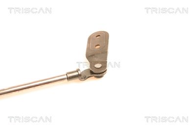 AMORTIZOR PORTBAGAJ KAWE 871018200 2