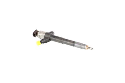 INJECTOR REMANTE 002003002085R 46