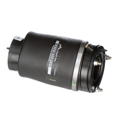 LUFTFEDER FAHRWERK Arnott A2934 65