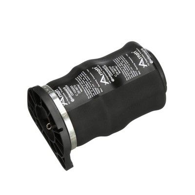 LUFTFEDER FAHRWERK Arnott A2799 64