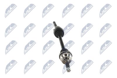 PLANETARA NTY NPWMS086 34