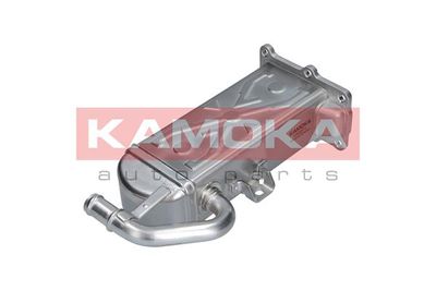 Cooler, exhaust gas recirculation 19C071