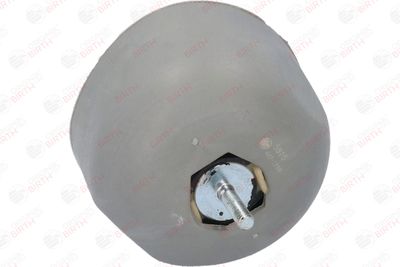 SUPORT MOTOR BIRTH 5915 1