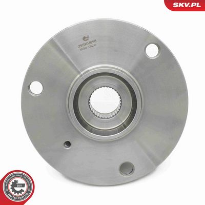 SET RULMENT ROATA ESEN SKV 29SKV658 3