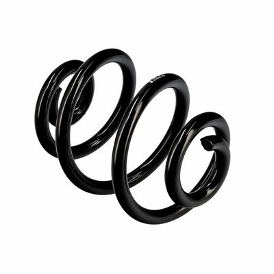 ARC SPIRAL EIBACH R10030 22