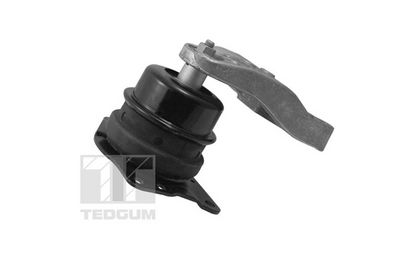 SUPORT MOTOR TEDGUM 00729405 1